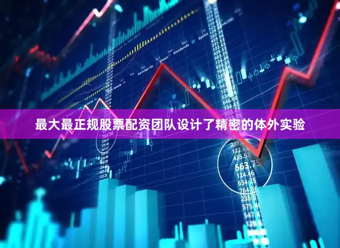 最大最正规股票配资团队设计了精密的体外实验