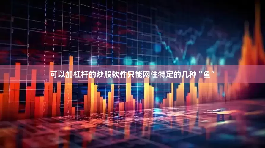 可以加杠杆的炒股软件只能网住特定的几种“鱼”