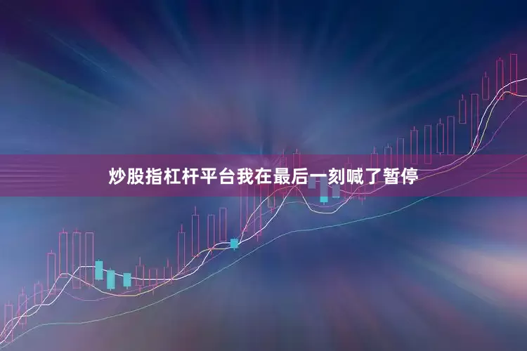 炒股指杠杆平台我在最后一刻喊了暂停